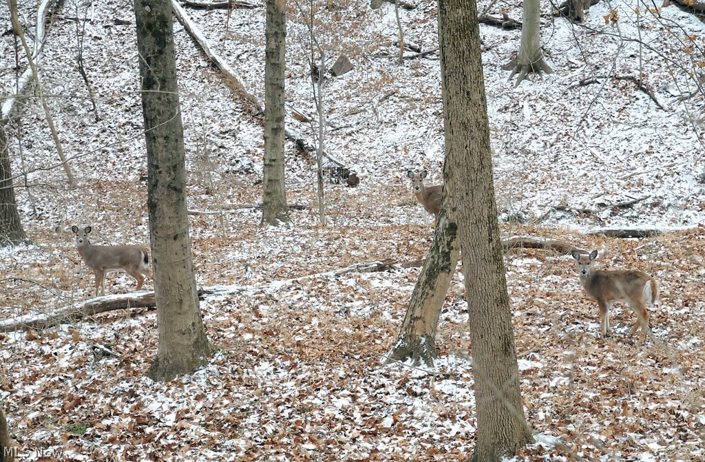 Homestead Hills - Residential