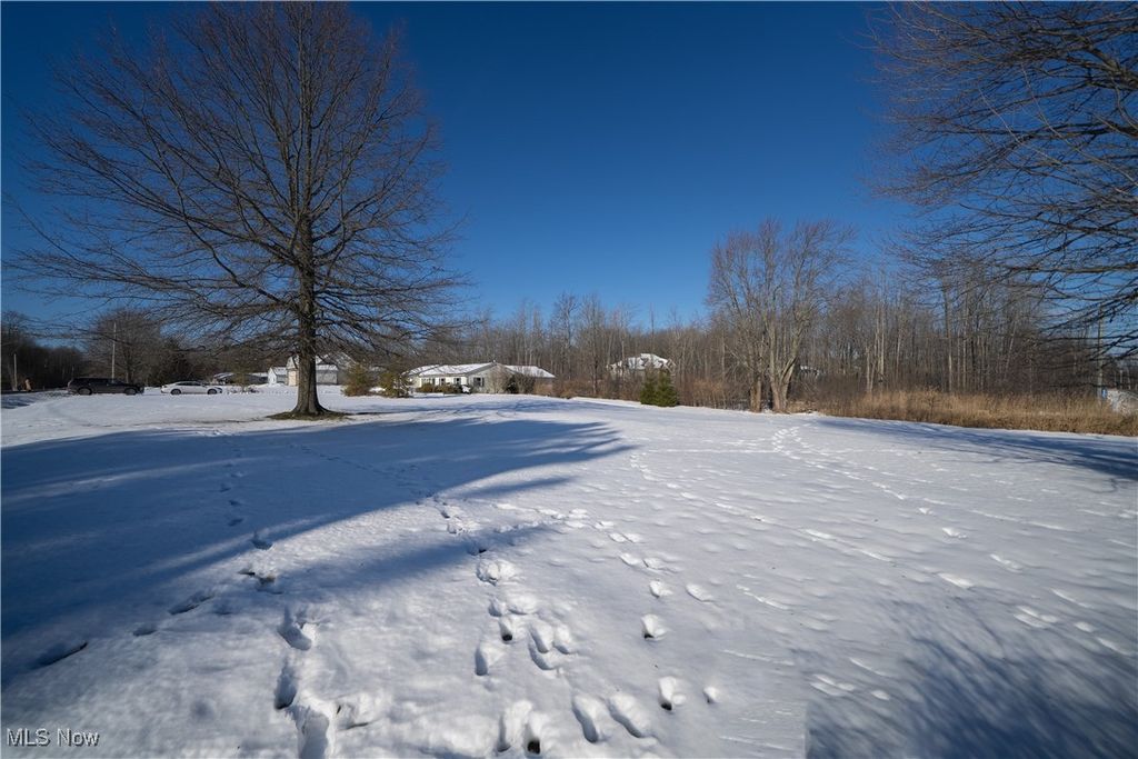 Photo of 11702 Clark Road, Chardon, OH 44024 (MLS # 5176697)