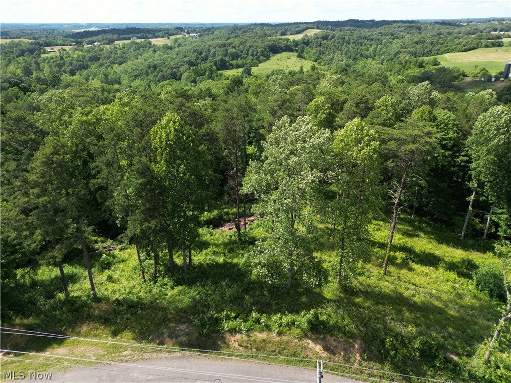 0 Fisher Ridge Rd, Tract 1 Road