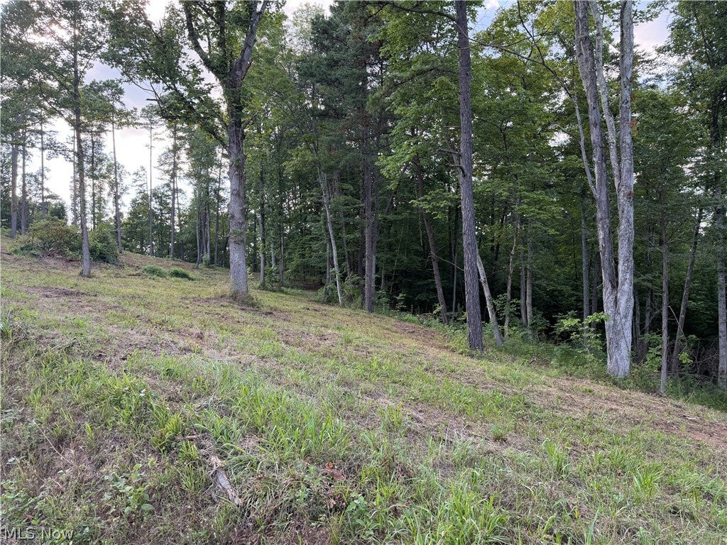 0 Fisher Ridge Rd, Tract 1 Road
