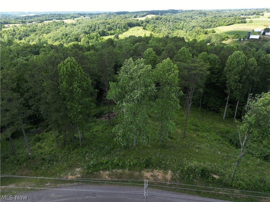 0 Fisher Ridge Rd, Tract 1 Road