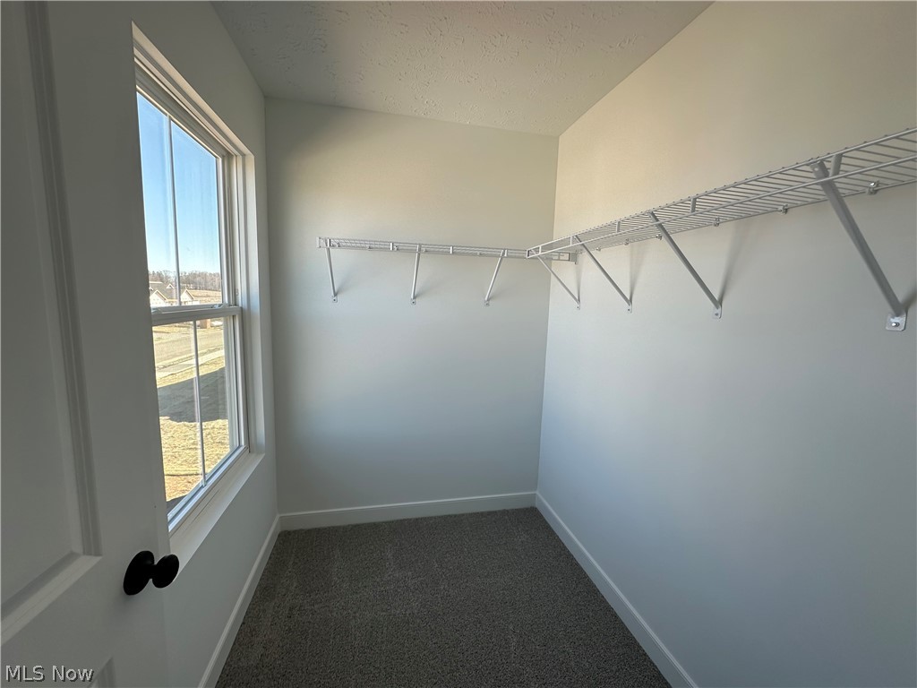 Aspire at Orchard Park - Residential