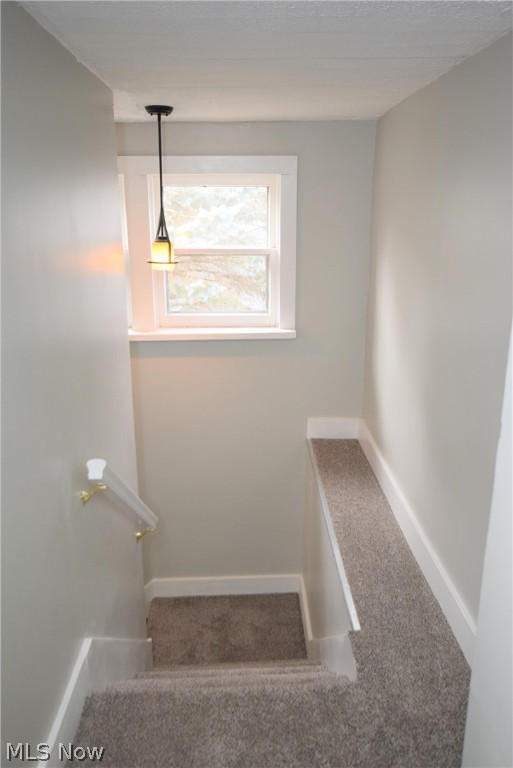 High Grove Park - Residential