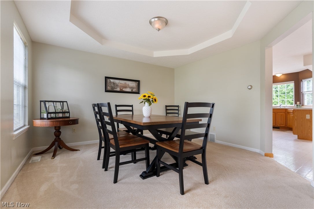 419 Treeview Drive