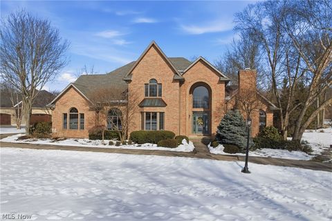 21 Timber Run Court Canfield OH 44406