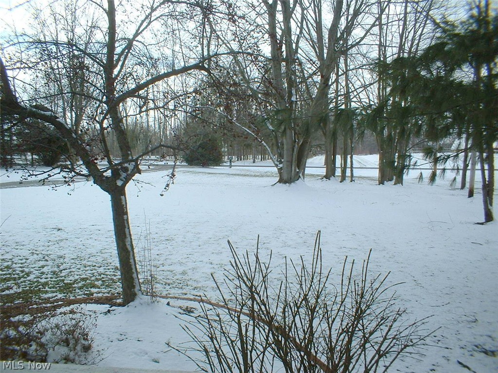 Westfield - Residential