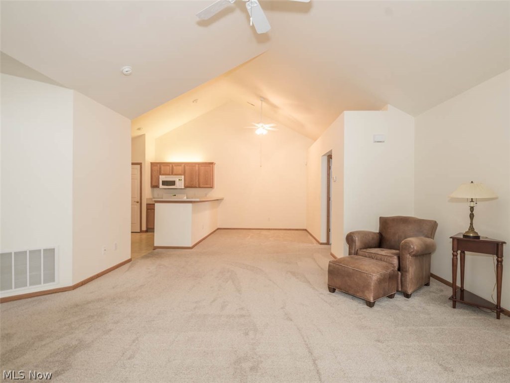 Springfield Rdg Condo - Residential