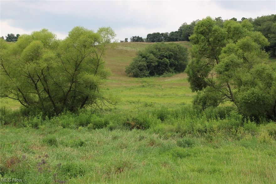 This property is located just one mile west of Atwood lake. It offers rolling hills and lots of wildlife. If your looking to build a home, have a small farm or just recreation you can do it here. The deer and turkey are abundant and public land is less than a mile away. Act now and have it for the upcoming hunting season. This land is 28.7 +/- acres. The final acreage will be determined by survey.