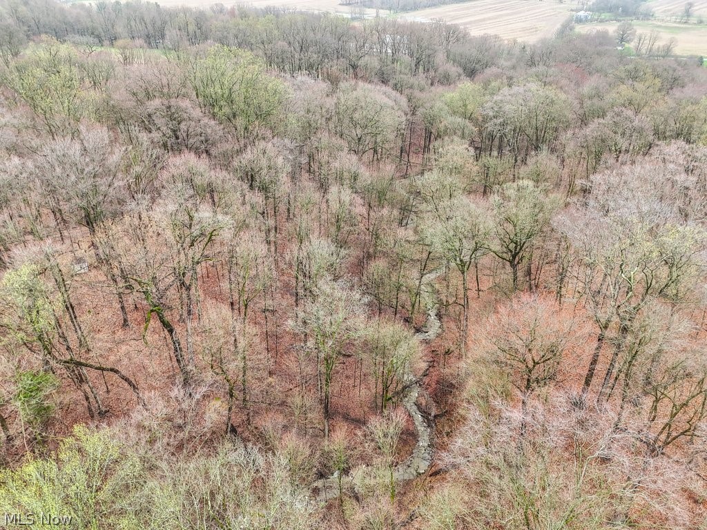 Rohrer Road, Wadsworth, Ohio image 9