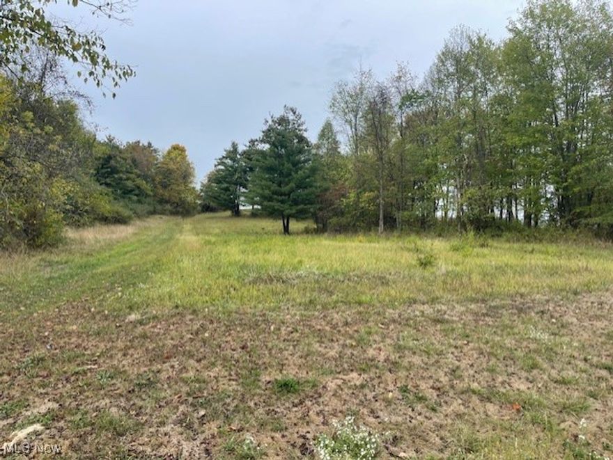 Discover the perfect canvas for your future dreams at this serene property. Imagine constructing your dream home or a charming hunting cabin on this versatile land. With a mix of cleared and wooded areas, the landscape invites you to shape it to your fancy—whether for a peaceful country residence or a weekend nature retreat. Livestock enthusiasts will appreciate the freedom to raise animals in this pastoral setting. The property offers ample space for embracing rural life without sacrificing comfort or connectivity. Enjoy the tranquility of country living while planning your next big project—be it a cozy bungalow nestled among the trees or a sprawling estate with room to roam. This land isn't just a place to build; it's a blank slate for whatever rural fantasy you wish to create.