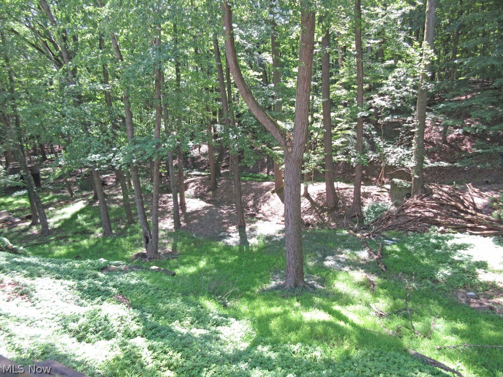 Chestnutdale Allot - Residential