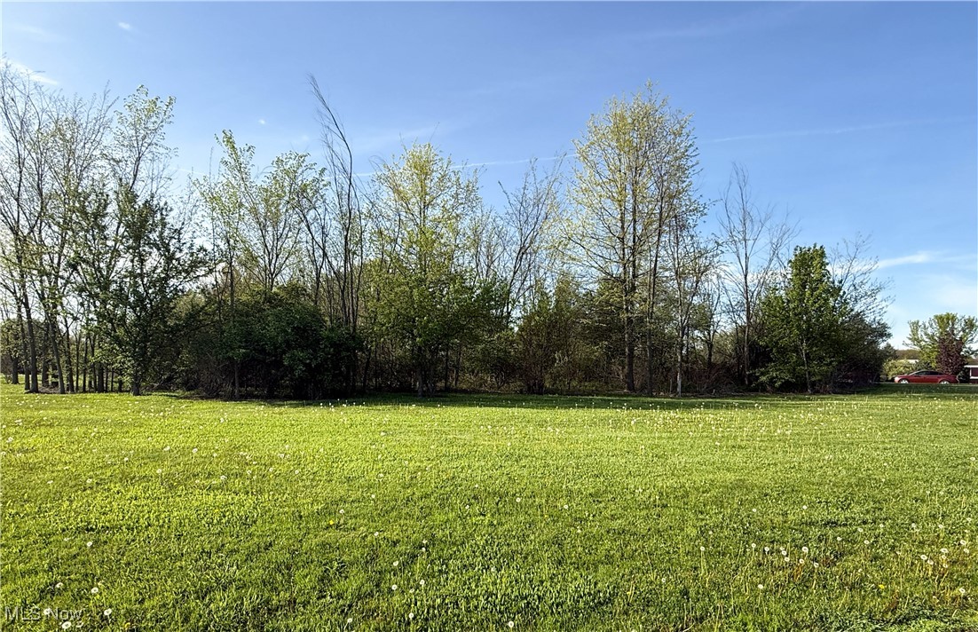 49556 Foxwood Lane, East Palestine, Ohio image 3