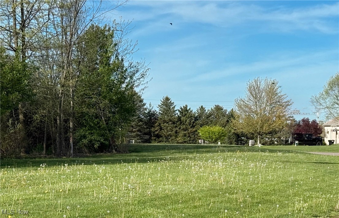 49556 Foxwood Lane, East Palestine, Ohio image 2