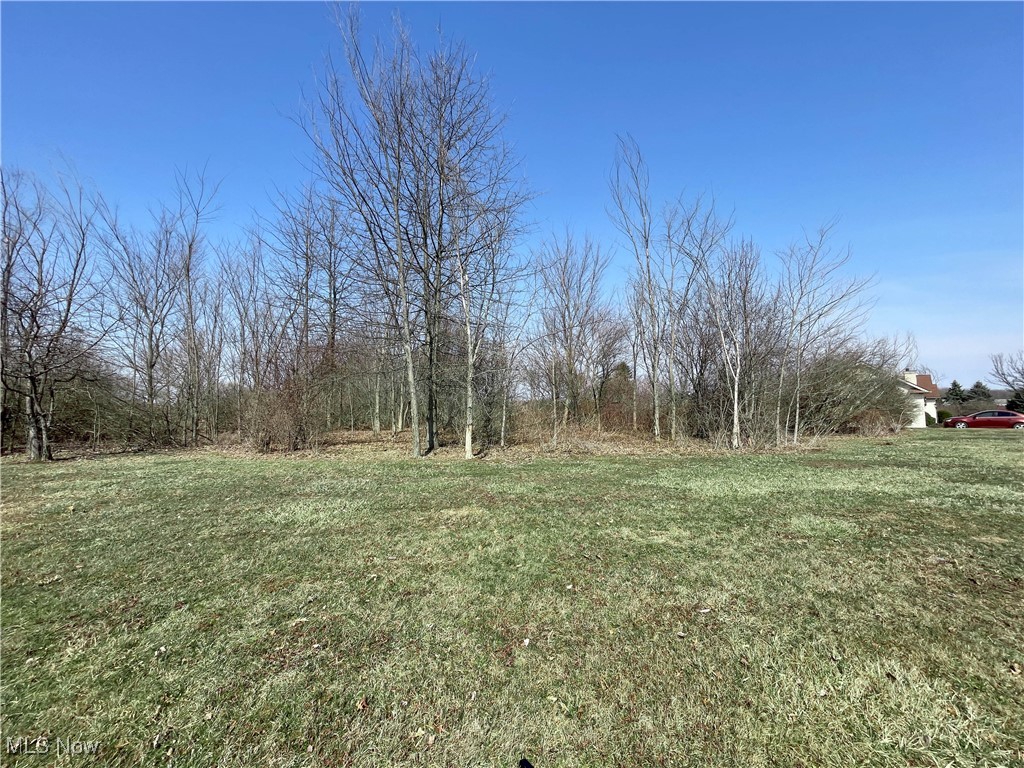 49556 Foxwood Lane, East Palestine, Ohio image 2