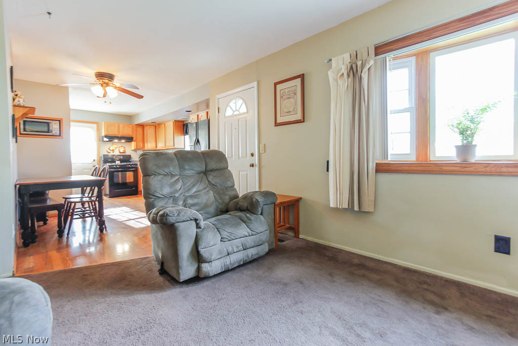 Ridgeville Park - Residential