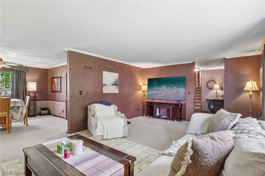 Maple Lane Allotment - Residential