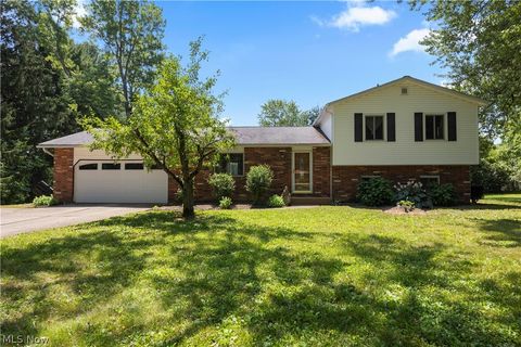 Homes For Sale - 1486 David Drive<br/> Medina County, Hinckley, OH 44233
