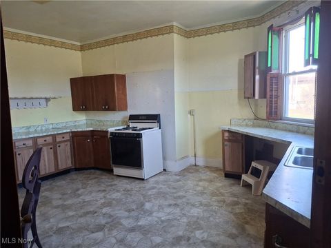 Tiny photo for 645 Logan Street, Steubenville, OH 43952 (MLS # 5176761)