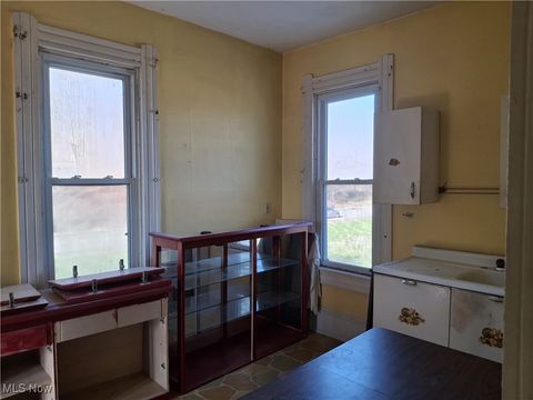 Tiny photo for 645 Logan Street, Steubenville, OH 43952 (MLS # 5176761)