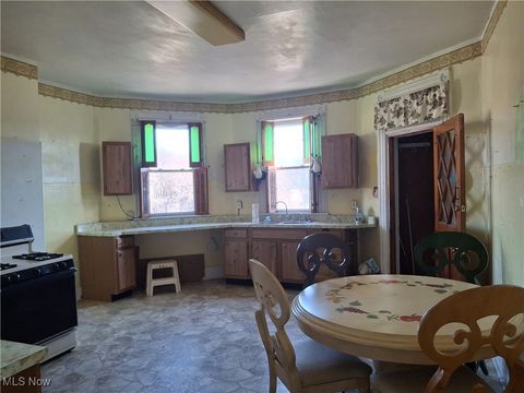 Tiny photo for 645 Logan Street, Steubenville, OH 43952 (MLS # 5176761)