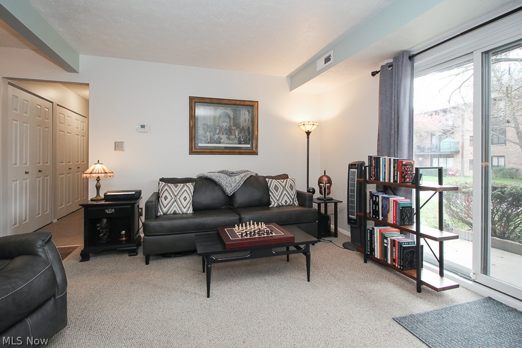 Misty Lake Village Condo - Residential