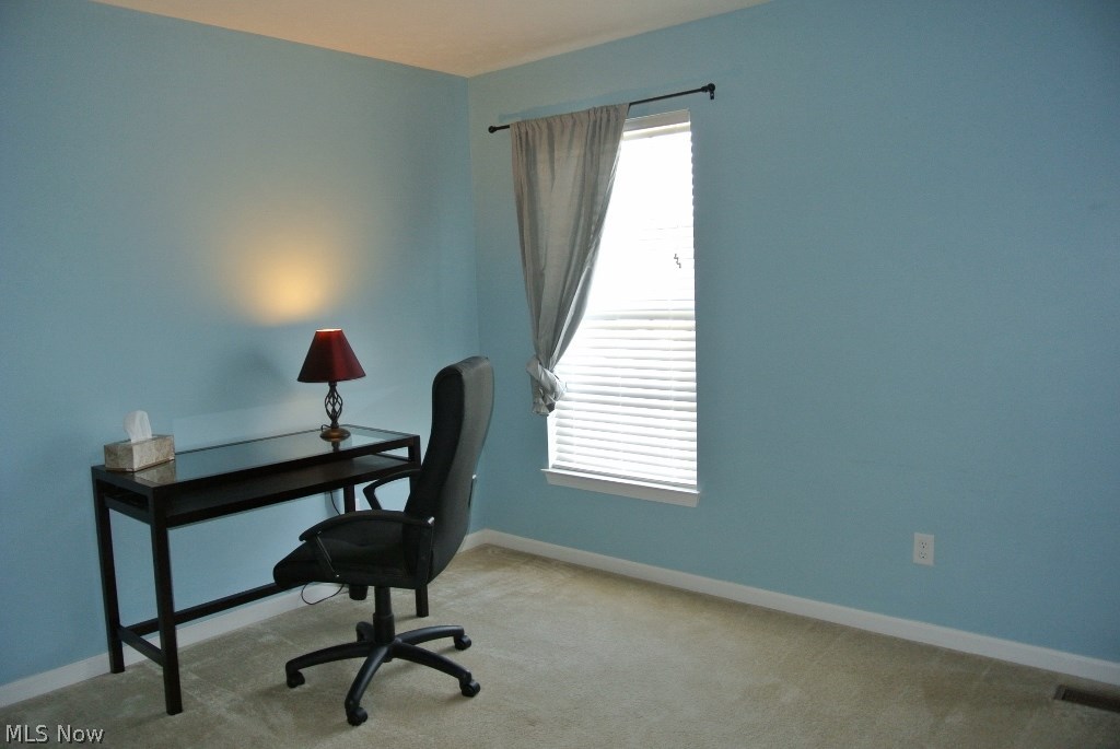 Overlook Condo/Pleasant Lakes - Residential