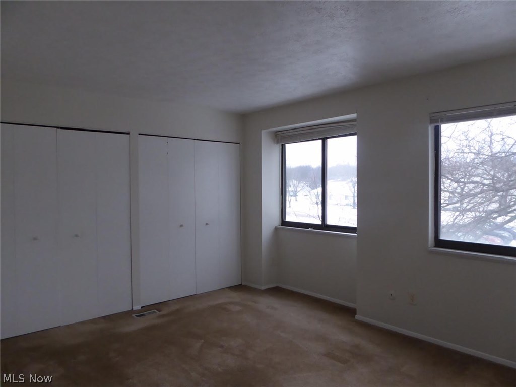 Big Turtle II - Residential