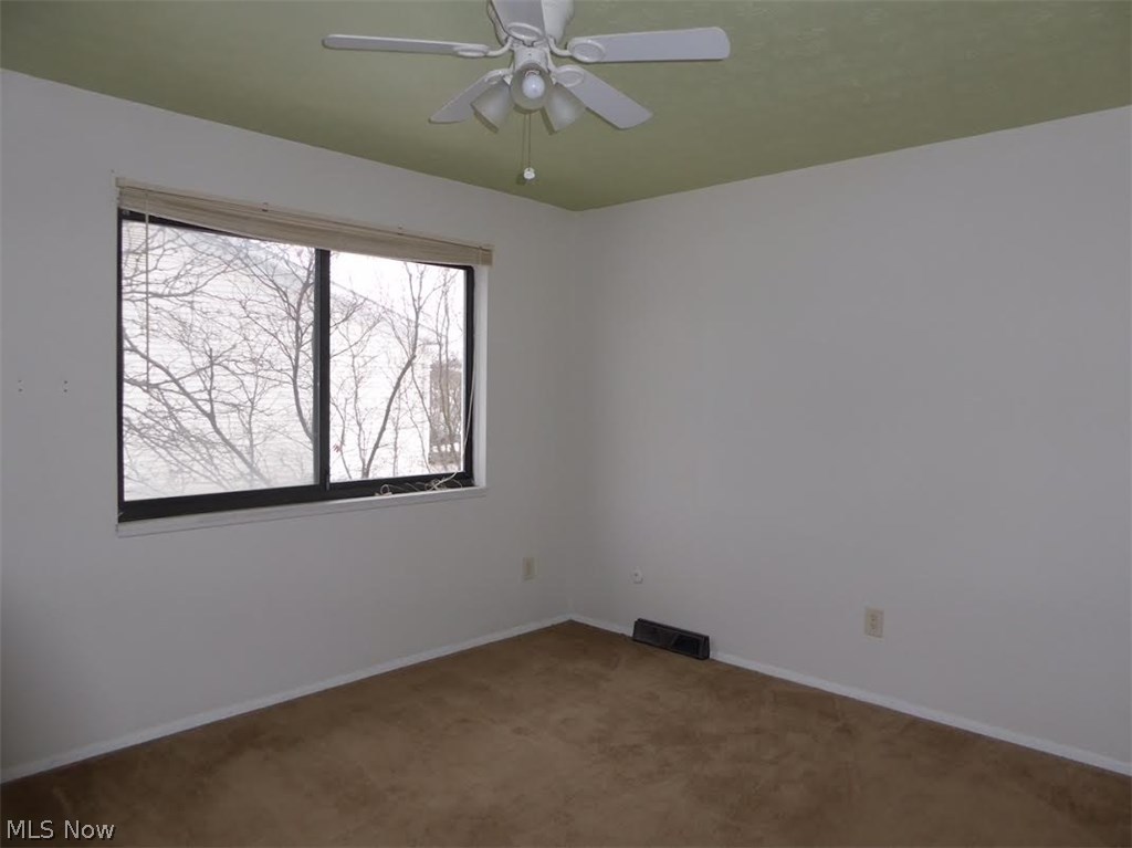 Big Turtle II - Residential