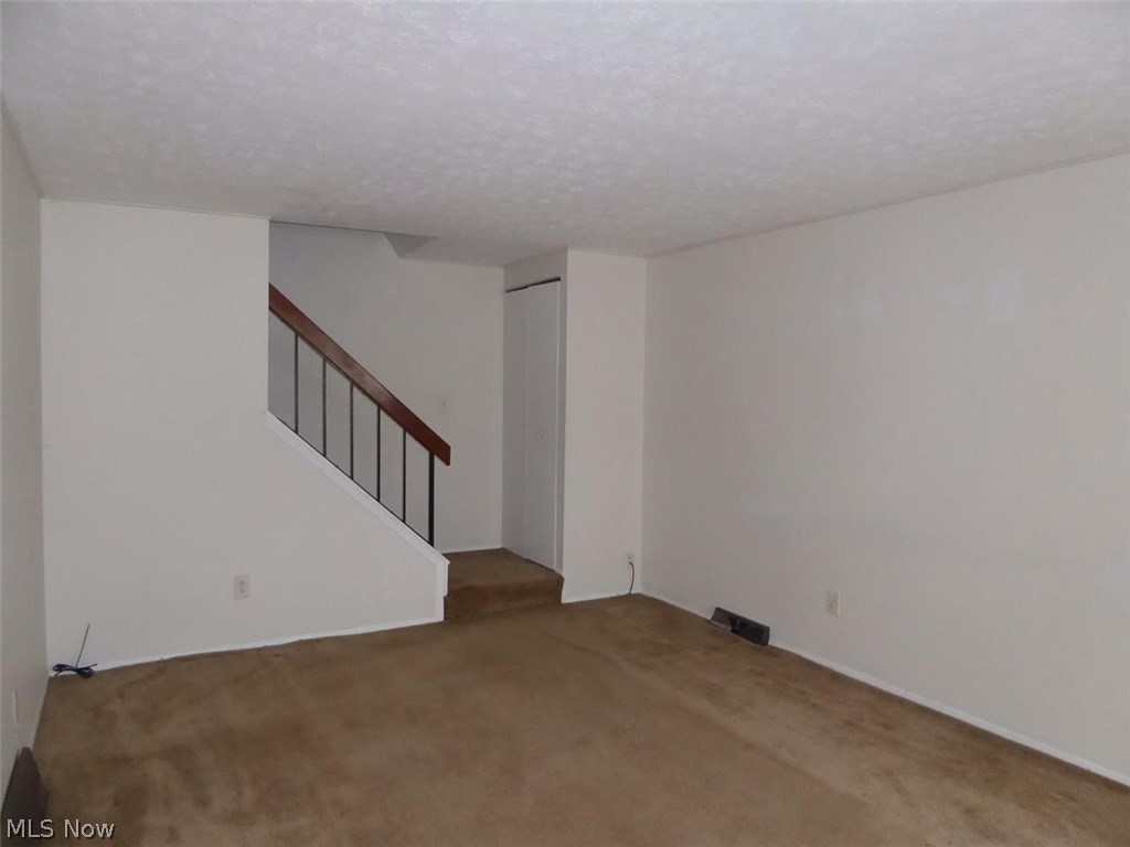 Big Turtle II - Residential