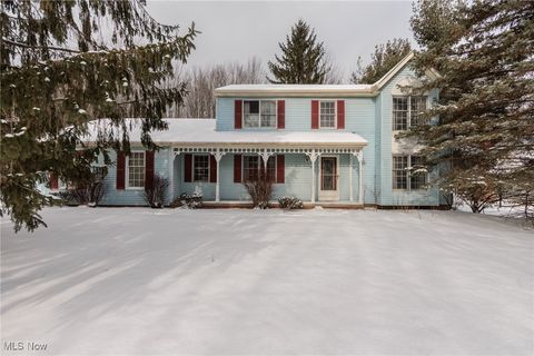 1817 Rusnak Trail Broadview Heights OH 44147