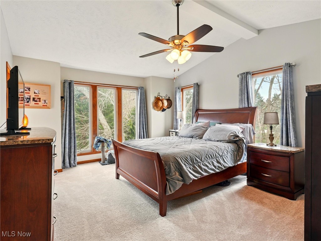 2068 Chimney Ridge Drive, Madison, Ohio image 17