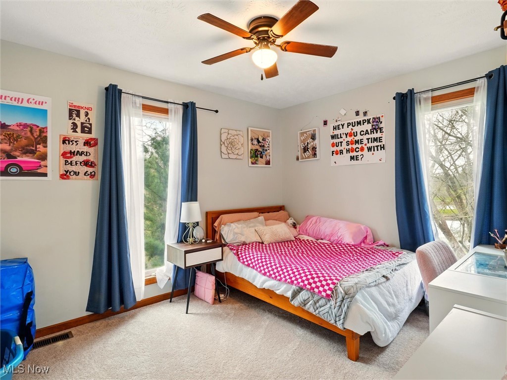 2068 Chimney Ridge Drive, Madison, Ohio image 26