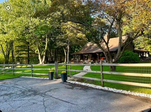 Homes For Sale - 10566 Clapsaddle Avenue<br/> Alliance, OH 44601