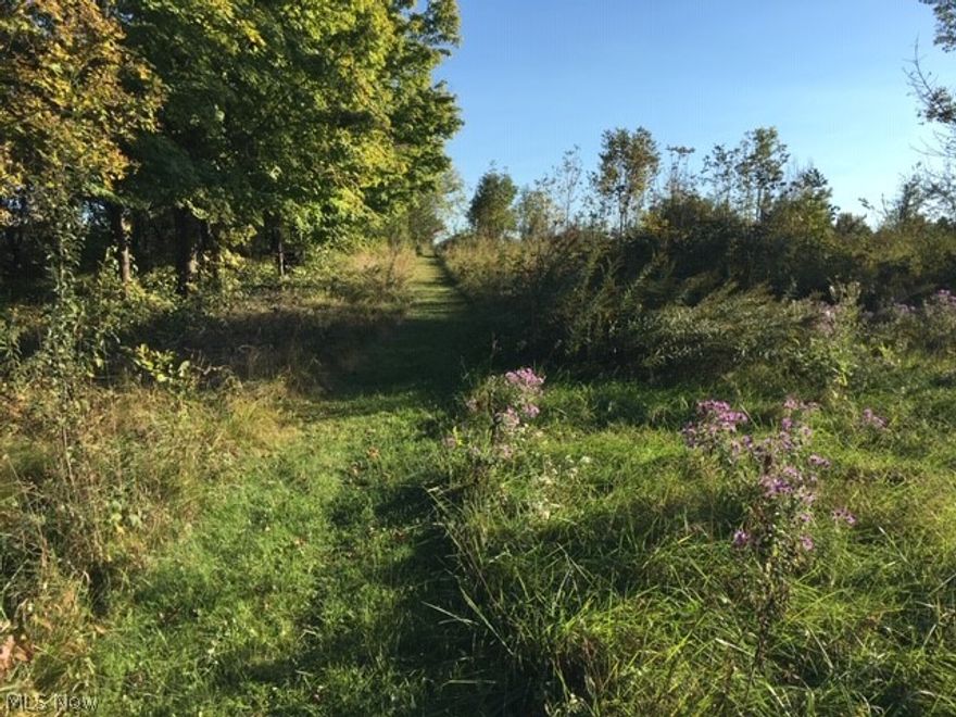 Over 30 acres of level land with 1 acre pond.  Build your dream home in seclusion or clear the land for farm property.  Unlimited possibilities for this property.  Property is surrounded mostly by farm land.  There is 5 treed acres behind the pond.  There is a well on the property which is drilled down approximately 108'.  Well is in front of the pond, approximately 20 acres back from the road.  An outhouse is located by the pond.  Electric is at the road.  Driveway and mailbox belongs to the neighbor.  Do not park in driveway.  You must park on the grass/dirt to the right/east of the driveway to walk the property.  There is a path from the street that goes to the pond. Frontage is 363' across the front, 647' across the back and approximately 1730' back.  Minutes to downtown West Salem, Cinnamon Lake, Dragway 42, I71 and 6 miles to the Lodi Outlet Mall.