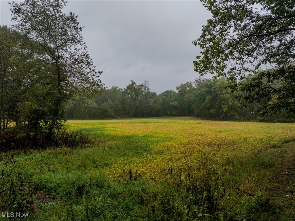 Minerva Road, Magnolia, Ohio image 8