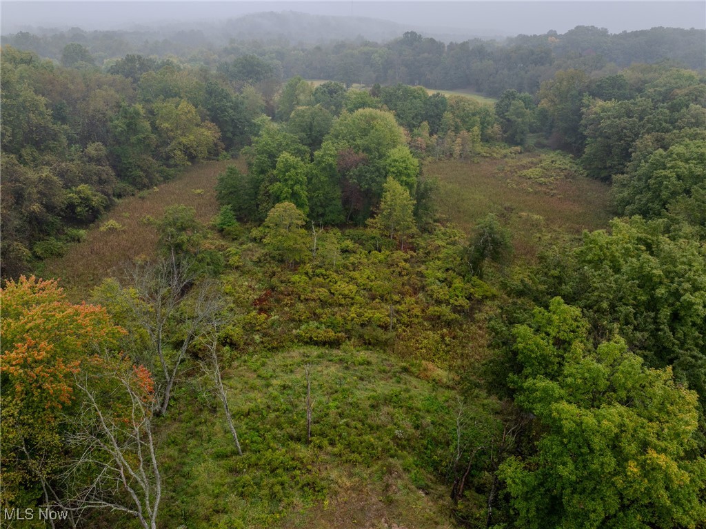 Minerva Road, Magnolia, Ohio image 12