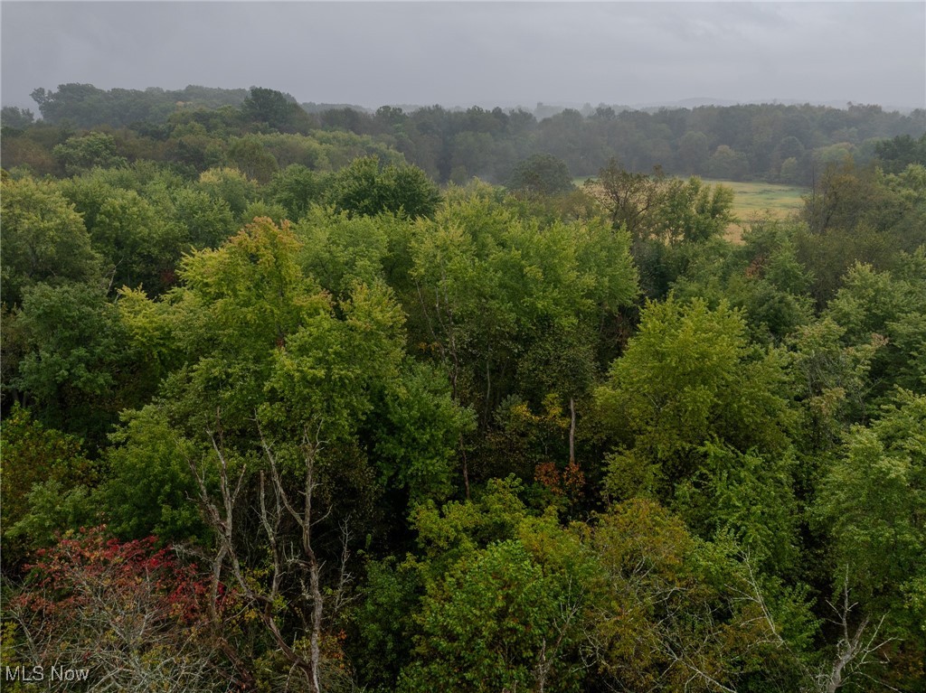 Minerva Road, Magnolia, Ohio image 9