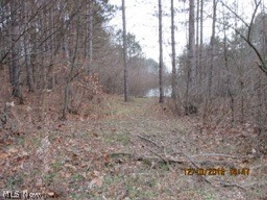Fantastic hunting, recreational land for camping, fishing, ATV trails for your enjoyment. 72.26 acres located in Center Township. A great place to build your  get away in the woods.  Two large lakes with wooded areas and open ground.  No Zoning.  Pipeline lease to transfer.  Mineral rights are already reserved and do not transfer.