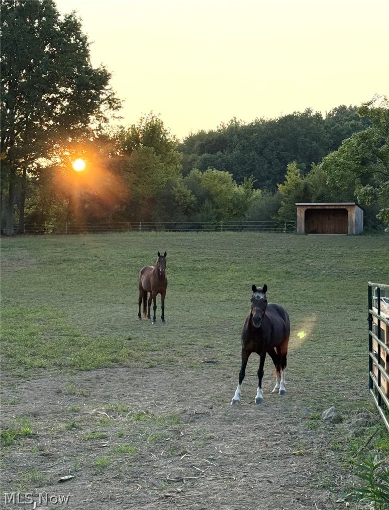 Rootstown - Residential