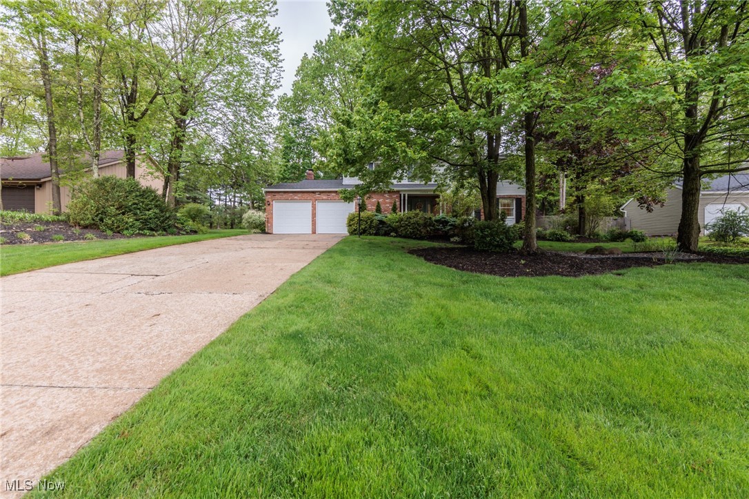 10222 Deer Run