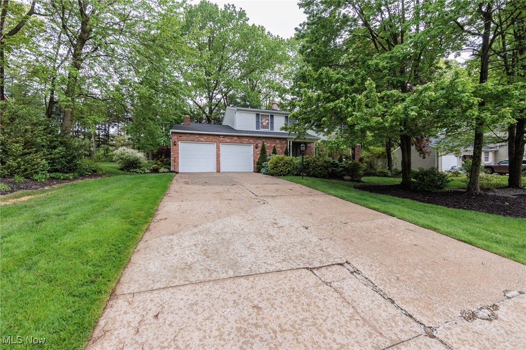 10222 Deer Run