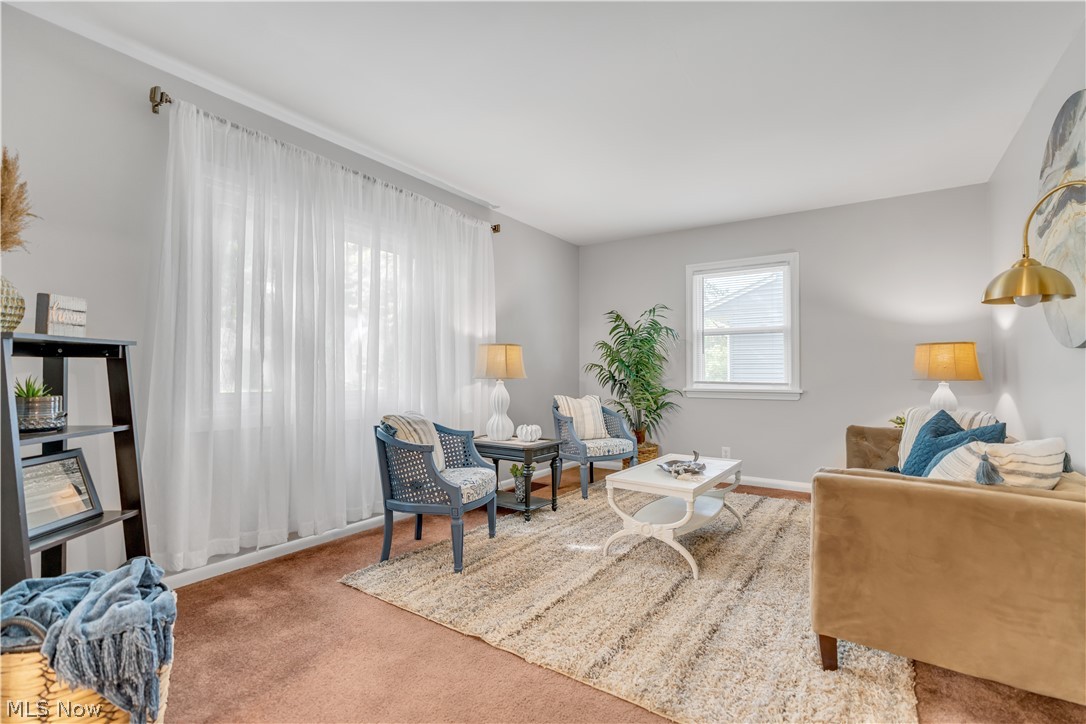 Hawkins Road Allotment - Residential