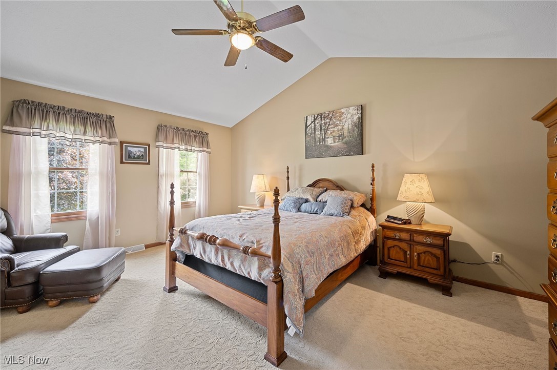 8151 Nancy Drive, Mentor, Ohio image 19