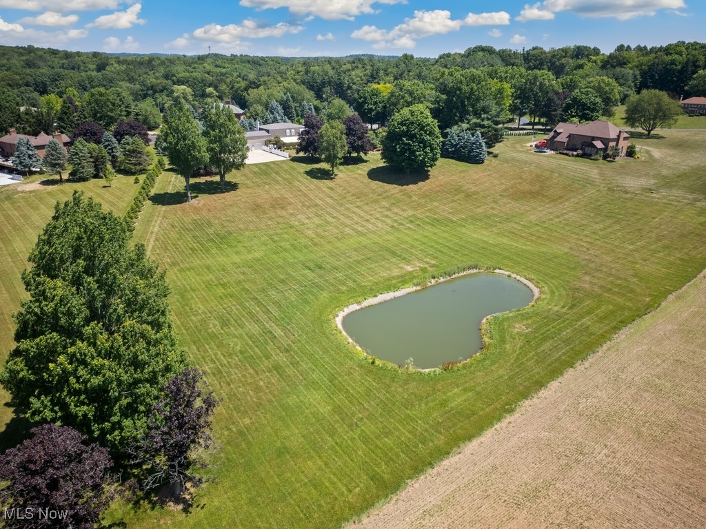 8734 Baneberry Circle, Clinton, Ohio image 49