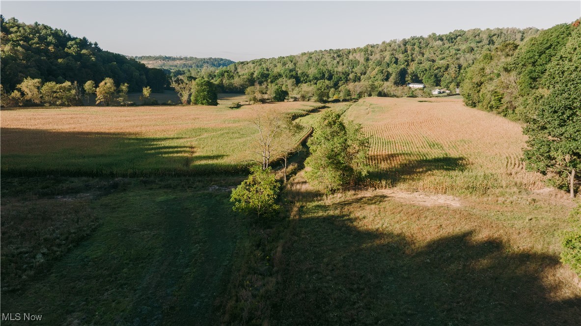 Irish Run Road, Dennison, Ohio image 7