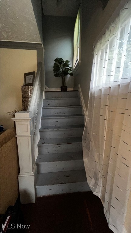 12421 Maple Avenue, Cleveland, Ohio image 13