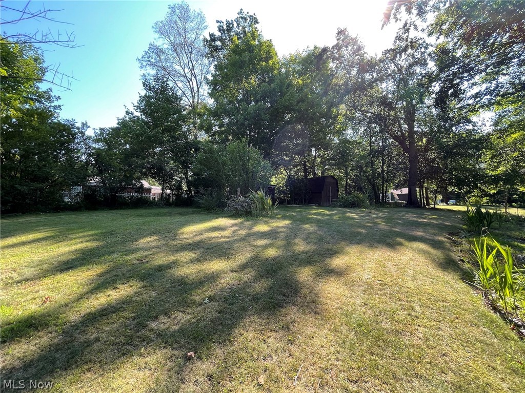 Wickliffe Heights 03 - Residential