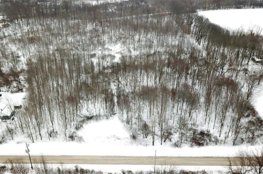 The possibilities are endless with this 17+ acre wooded property in the heart of Plymouth Township. Whether your dream is to build a home surrounded by trees or have dedicated land for hunting and recreation, this is a great piece of land. It is just down the road from Ashtabula's historic covered bridges and scenic rivers. It is zoned R-1, has the potential for multiple lots and is buildable with over 400 feet of frontage on State Road, between Stevenson and Plymouth Brick Roads. It is close to Interstate 90 and RT 11 via the Seven Hills exit, offering easy access to and from nearby communities. Schedule a time to see this beautiful property for yourself!