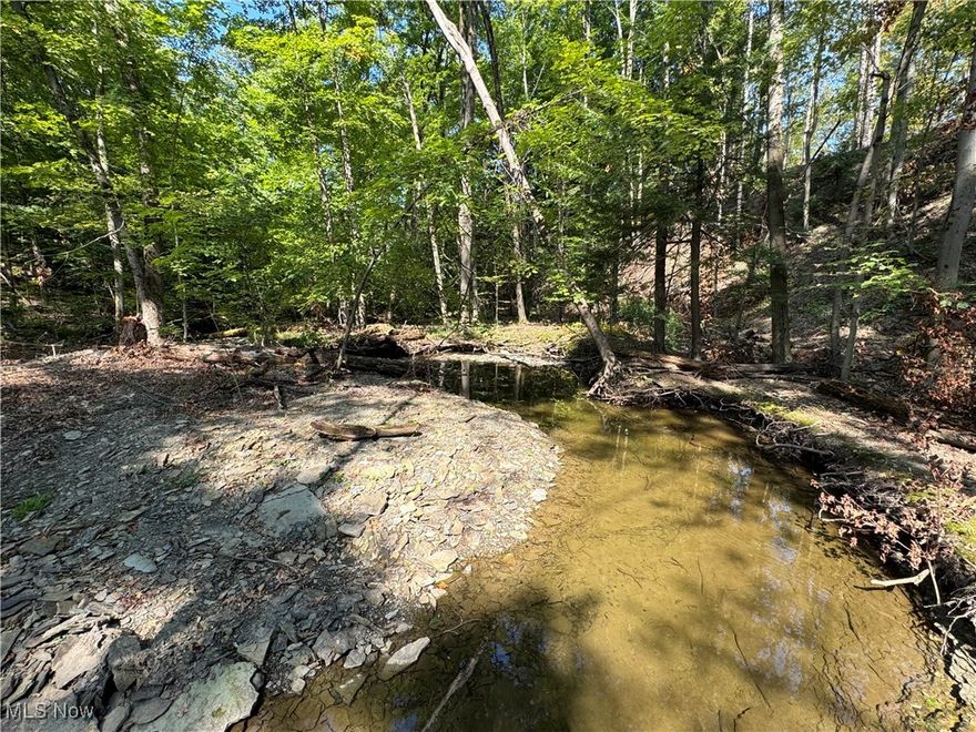 Beautiful picturesque private wooded property with creek and ravines on a country road. Many options for amazing locations to build your dream home. Soils have been performed for a septic system. Call today!