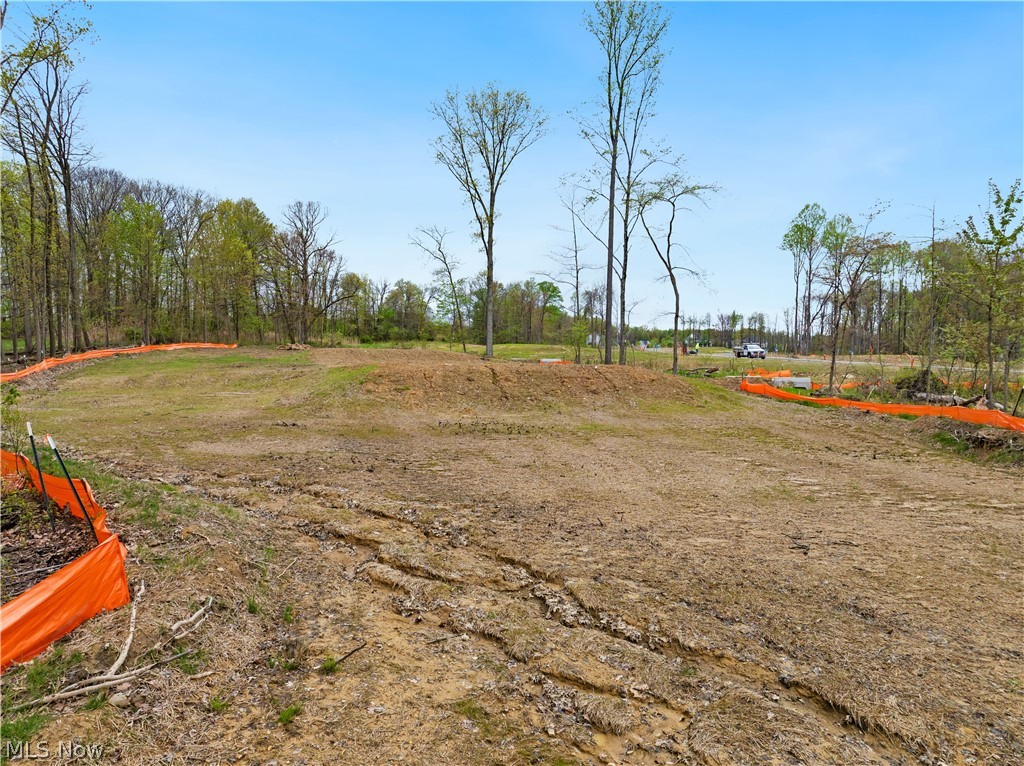 9528 River Birch Run